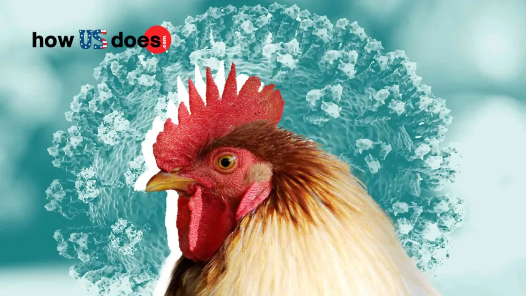 How Does Bird Flu Infect Humans howusdoes
