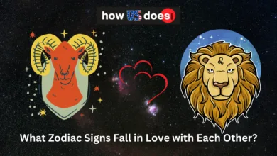 What Zodiac Signs Fall in Love with Each Other?